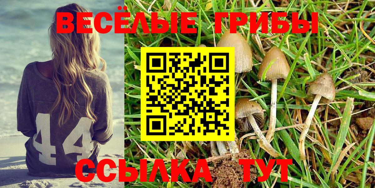Псилоцибиновые грибы Cubensis Трёхгорный